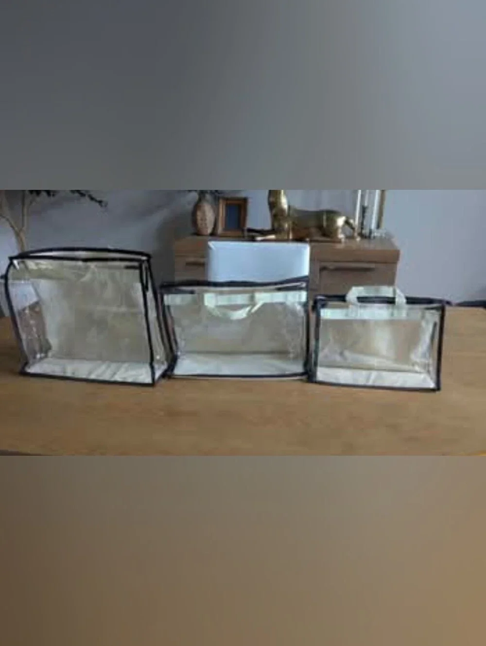3 Piece Vercord clear handbag storage organizers